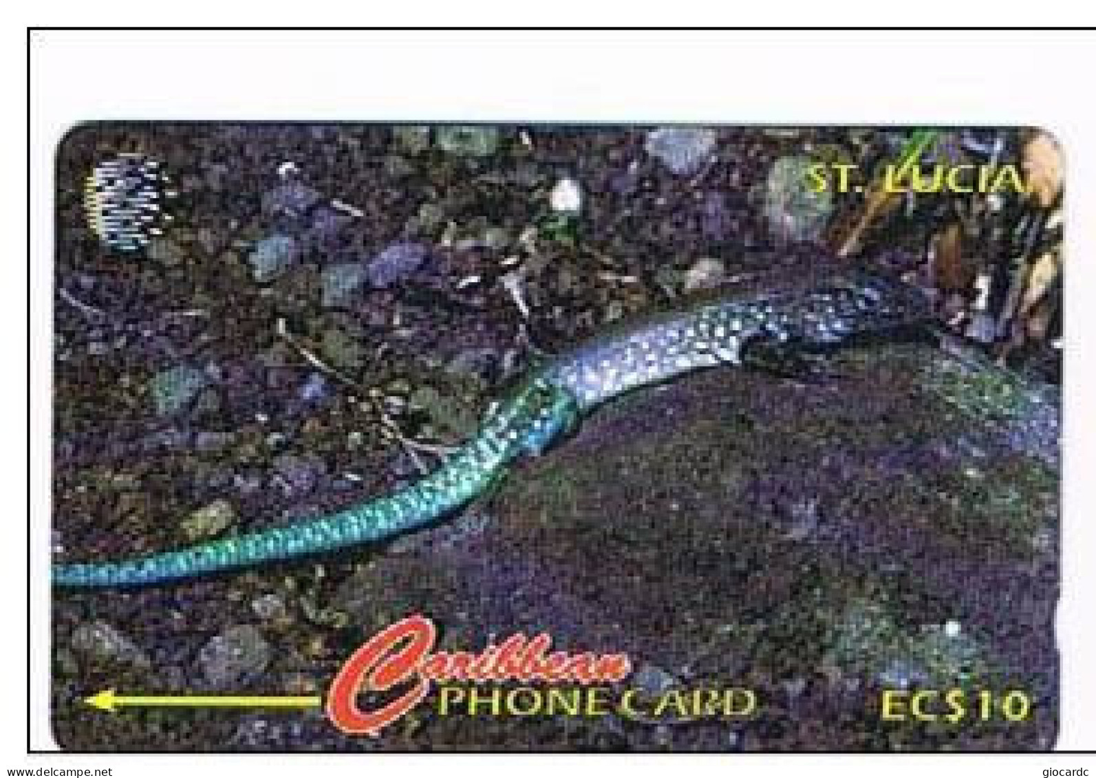 SANTA LUCIA - GPT - 1996 ANIMALI: LUCERTOLA (LIZARD)    CODE 137CSLA  - USATA° (USED)  -  RIF. 1128 - Saint Lucia