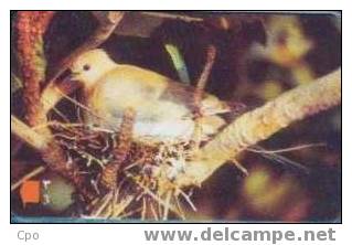 # OMAN 75 Palm Dove 3 Gpt 01.97 -oiseaux,birds- Tres Bon Etat - Oman
