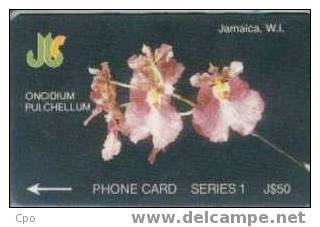 # JAMAIQUE 15 Oncidium Pulchellum- Serie 1 $50 Gpt 11JAMA -fleurs,flowers-  Tres Bon Etat - Jamaïque