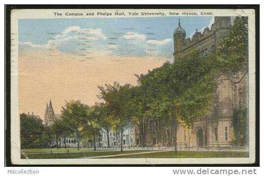 USA NEW HAVEN / The Campus And Phelps Hall / CARTE COULEUR - New Haven