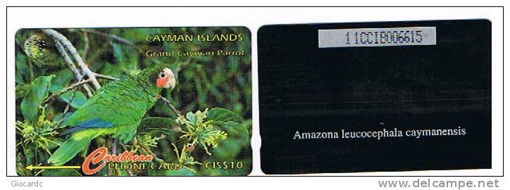 CAYMAN ISLANDS - GPT - 1995 PAPPAGALLO: PARROT (AMAZONA LEUCOCEPHALA CAYMANENSIS)  CODE 11CCIB  -  (USED)  - RIF. 1022 - Papageien