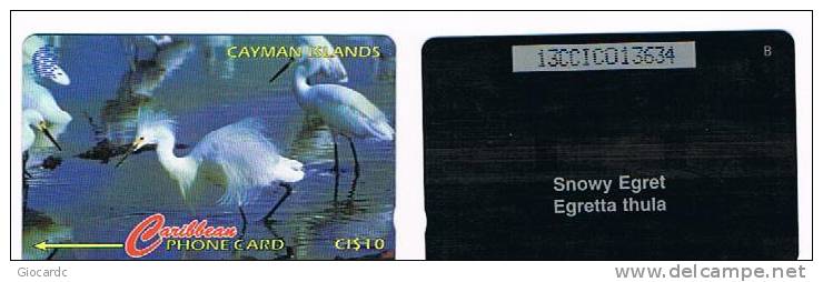 CAYMAN ISLANDS - GPT - 1995 BIRDS : SNOWY EGRET (EGRETTA THULA)     CODE 13CCIC  - USED  - RIF. 1028 - Sonstige & Ohne Zuordnung