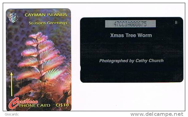 CAYMAN ISLANDS - GPT - 1995 ALBERO DI NATALE (XMAS TREE WORM)    CODE 47CCIA  -  (USED) - RIF. 1030 - Natale