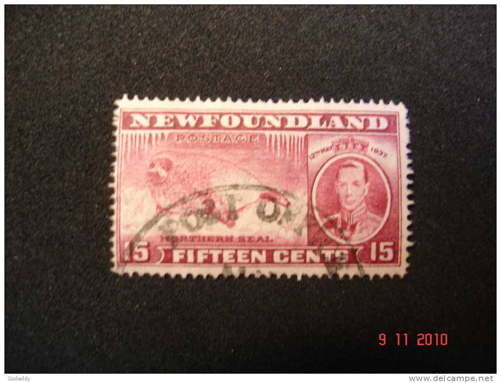 Newfoundland 1937 K.George VI Additional Coronation  15c  SG263c   Used - 1908-1947