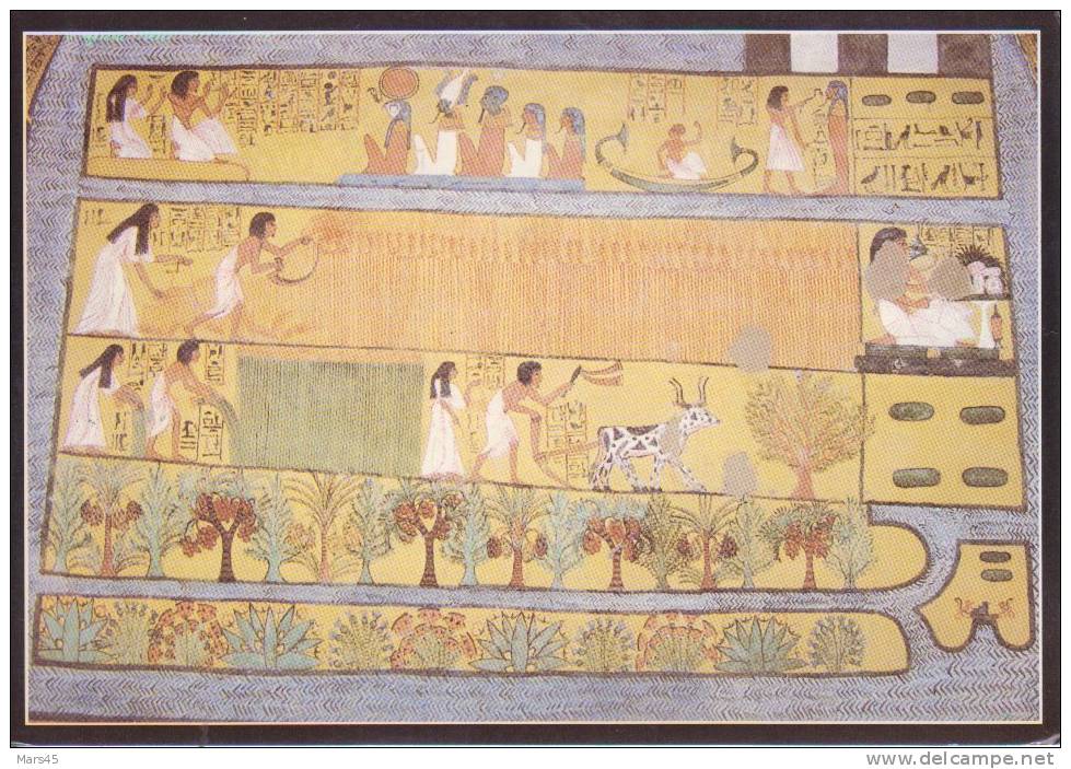 EGYPTE - LOUXOR - TOMBE DE SEN NEDJEM - HIEROGLYPHES - Luxor