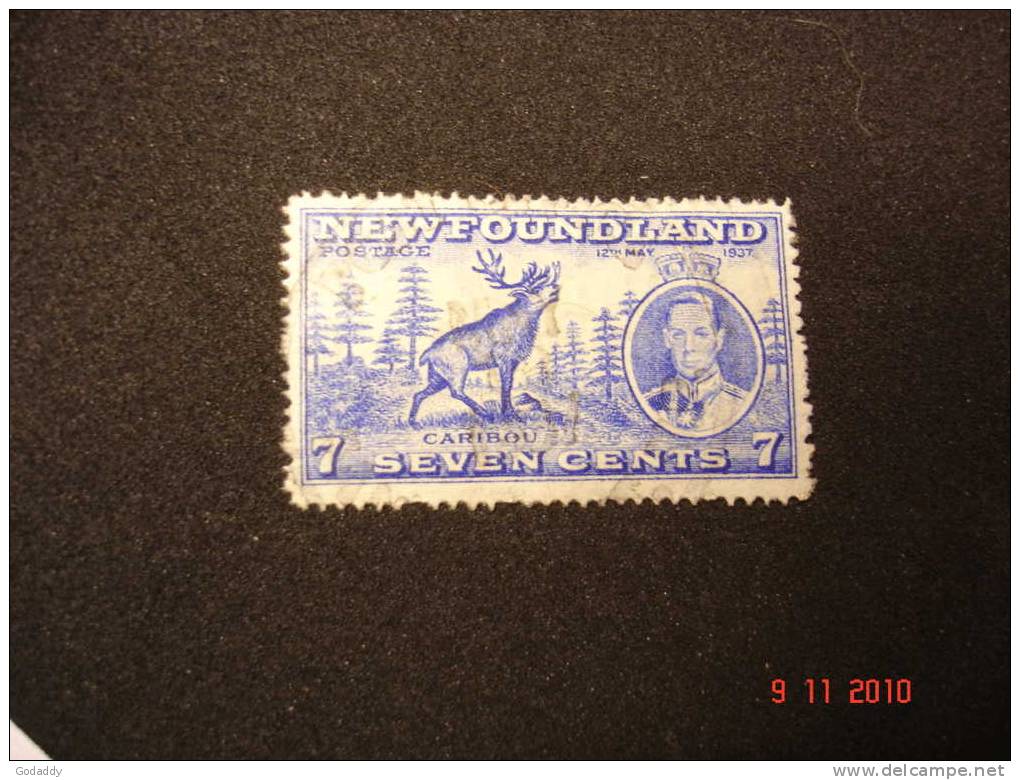 Newfoundland 1937 K.George VI Additional Coronation  7c  SG259c  Used - 1908-1947