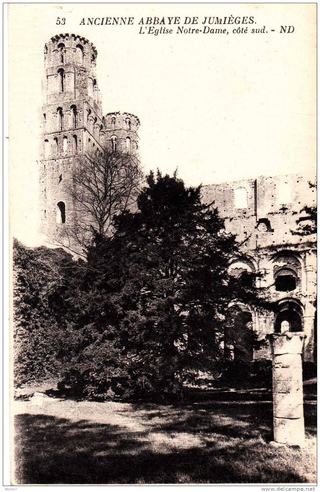 CPA 76 .JUMIEGES. ABBAYE.EGLISE ND COTE SUD. - Jumieges