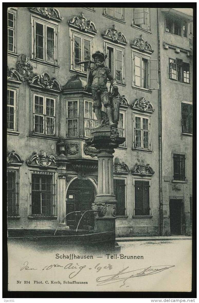 SCHAFFHAUSEN - Tell-Brunnen -1904 - Hausen Am Albis 