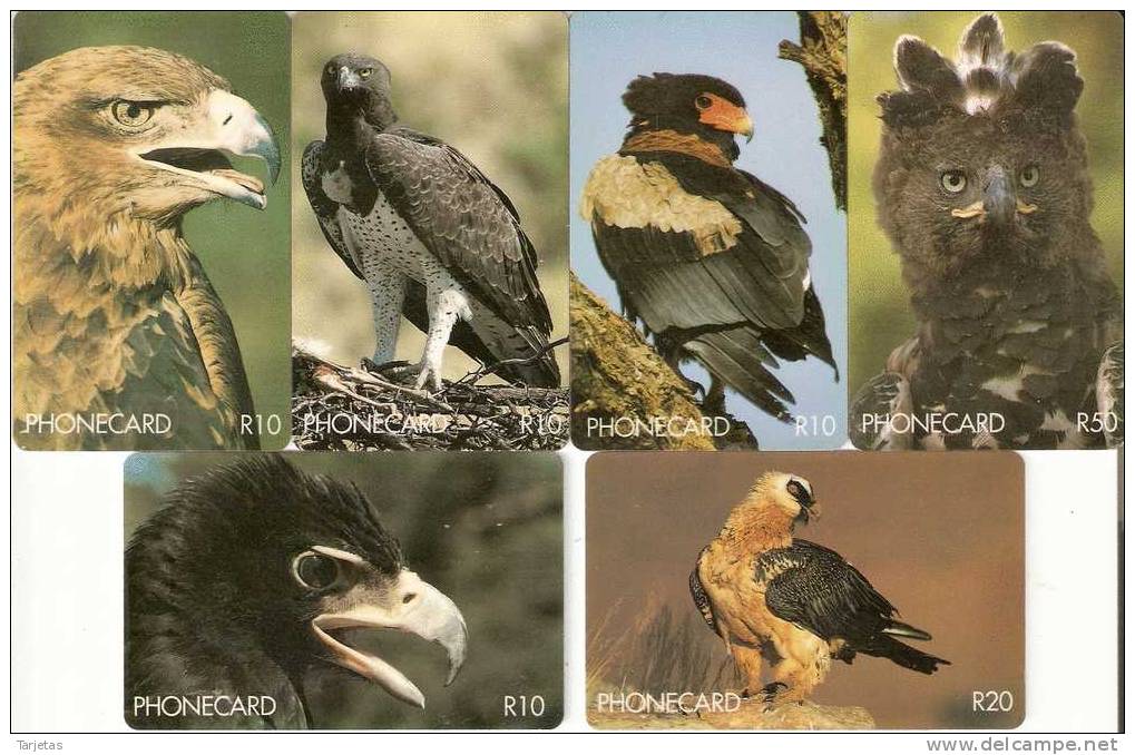 SERIE 6 TARJETA DE SUDAFRICA DE  AGUILAS  (EAGLE-AGUILA) - Águilas & Aves De Presa