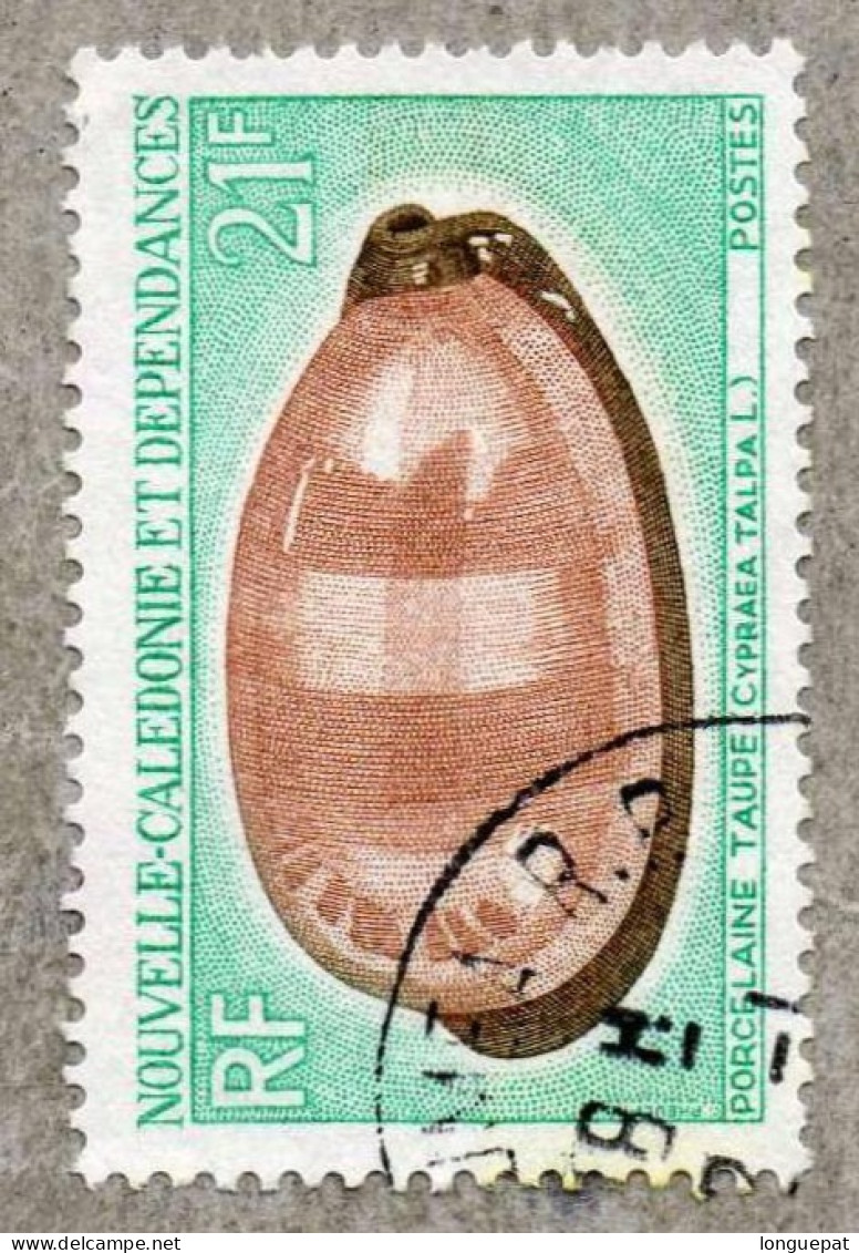 NOUVELLE-CALEDONIE : Coquillages :  Porcelaine Taupe  (CYPRAEA Talpa) - Used Stamps