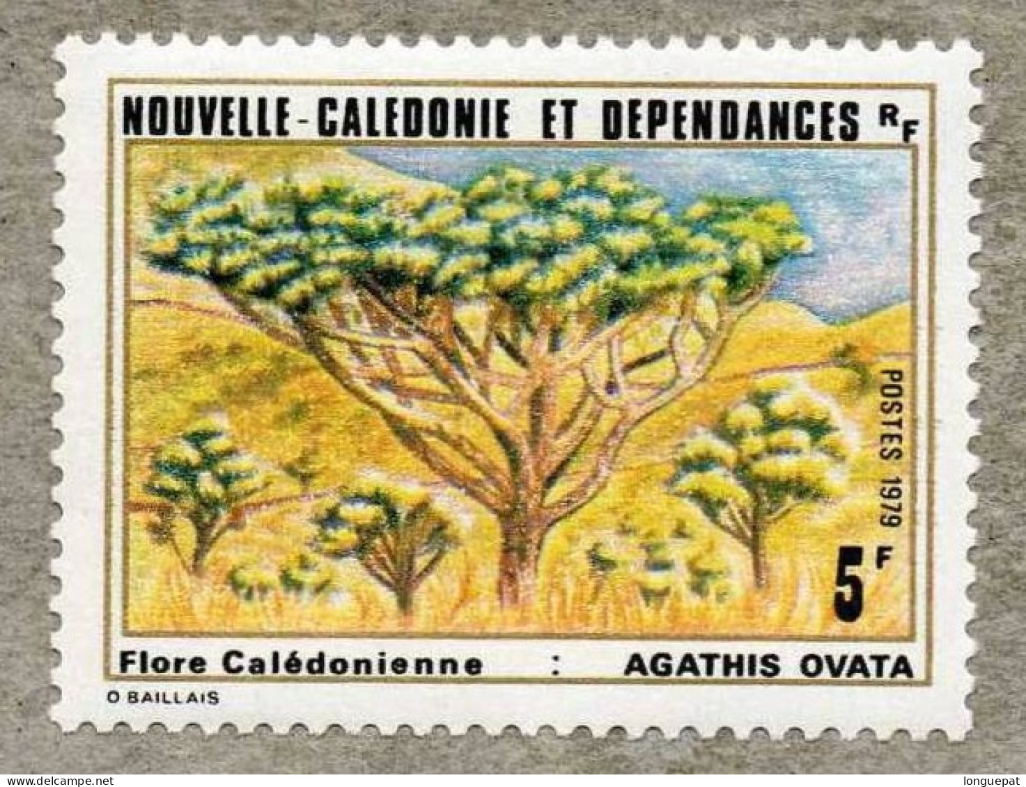 NOUVELLE-CALEDONIE :Flore : Agathis Ovata (kaori De Montagne Ou  Kaori Nain)- Araucariaceae - Nuovi