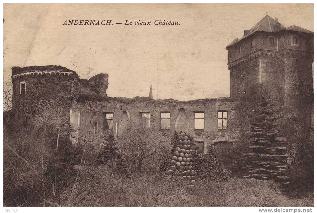 ALLEMAGNE ANDERNACH Le Vieux Château - Andernach