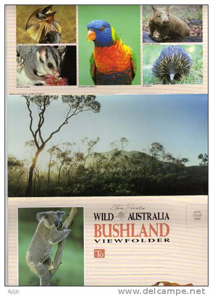 Carte Depliant Wild Australia Bushland Fauna & Koala. Healesville. (600 Mm X 215 Mm)  TRES BEAU ! Recto-verso - Sonstige & Ohne Zuordnung