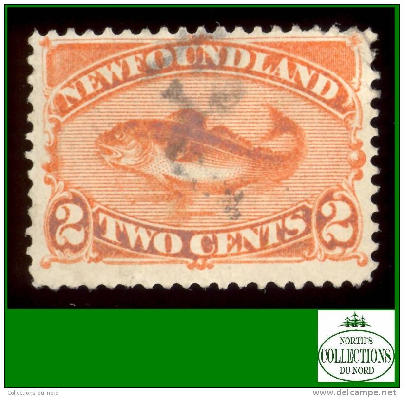 Newfoundland # 48 Scott - Unitrade - O / Terre-Neuve - 1865-1902