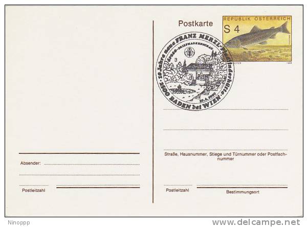 Austria-1989 Scout Postmark On Postal Card - Other & Unclassified