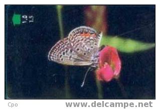 # OMAN A1 Butterfly - Grass Jewel 1,5 Gpt -papillon,butterfly-   Tres Bon Etat - Oman