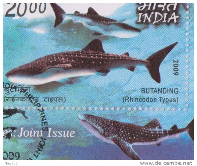 Blue Whale, Dolphin, Fish, Marine Mammal, MS On FDC, 200 Print Only, India - Storia Postale