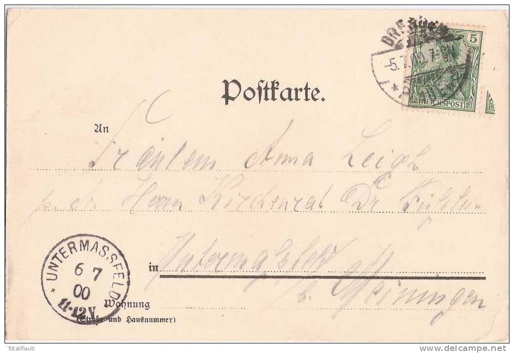 Plauen Bei Dresden Gruß Aus Der Parkschänke Color Litho 5.7.1900 Gelaufen - Dresden