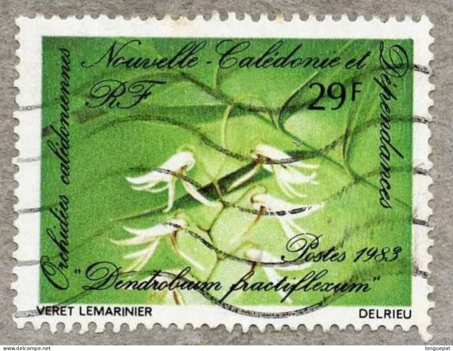 NOUVELLE-CALEDONIE :Flore : Dendrobium  Fractifexum - Orchidées - Oblitérés