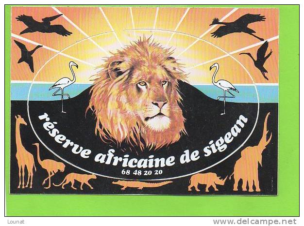 11 SIGEAN : Lion  Autocollant Souvenir Réserve Africaine - Leones