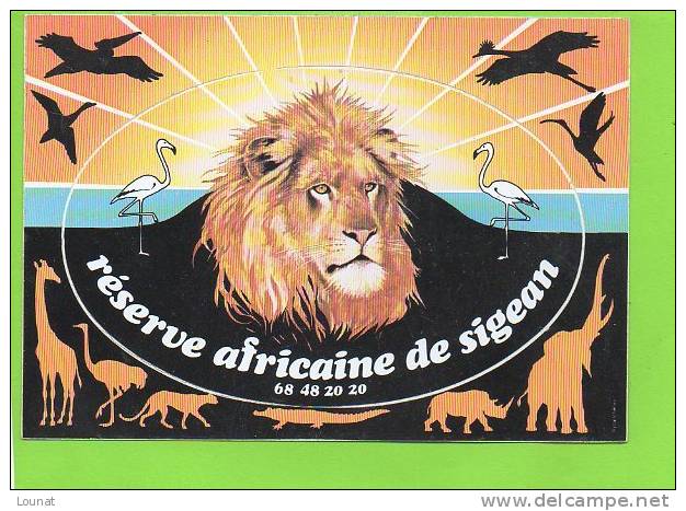 11 SIGEAN : Lion  Autocollant Souvenir Réserve Africaine - Lions