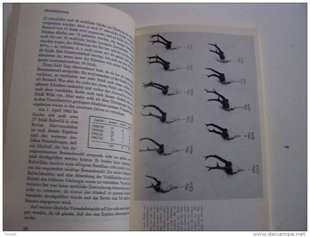 DER REHWILDABSCHUSS Erhard Ueckermann Mit 50 Abbildungen1975-Plannung Durchführung-richtige Anspreche-Paul PAREY- - Natuur