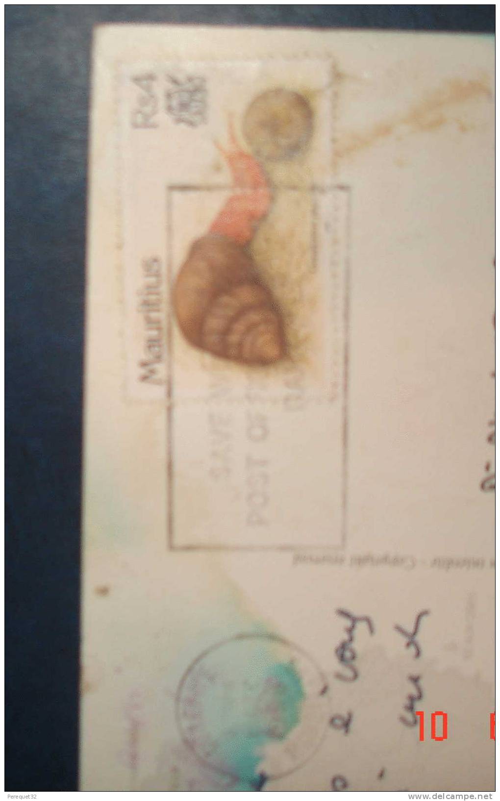 ESCARGOT Sur Timbre Ille MAURICE.Sur Carte Postale - Coneshells