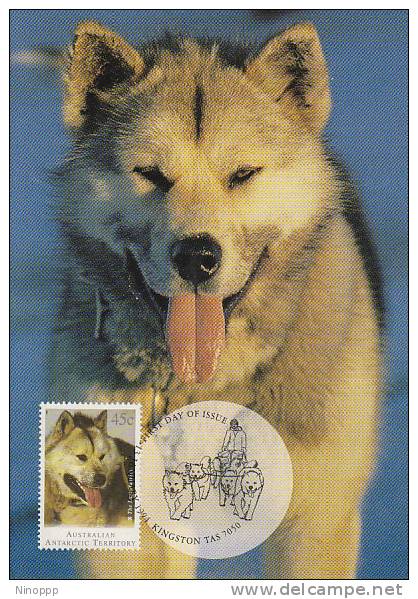 AAT-1994 Last Huskies,45c Husky  Maximum Card - Other & Unclassified