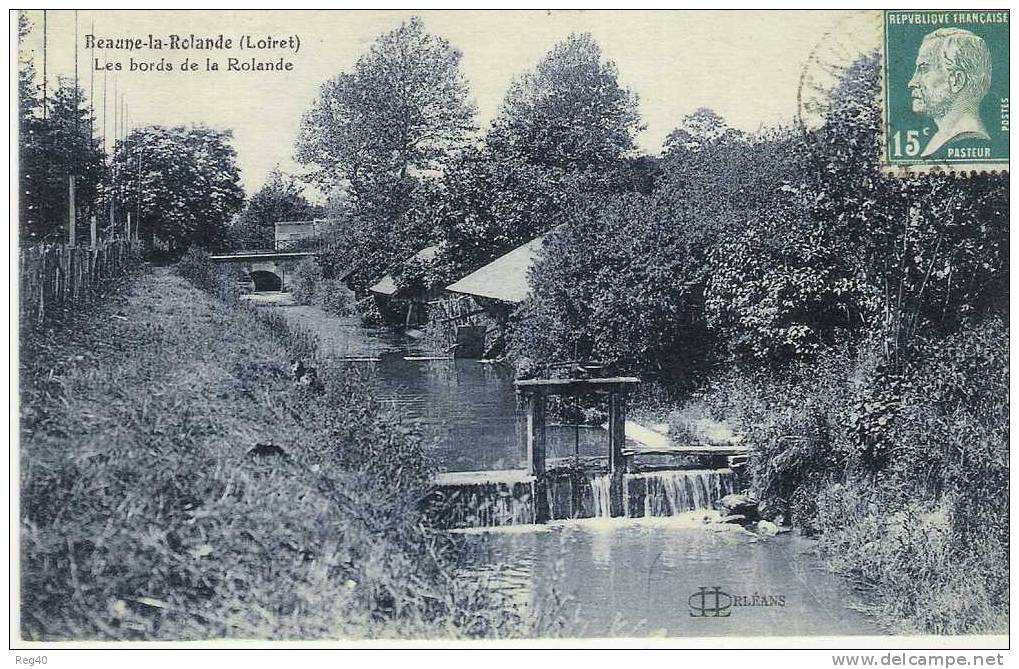 D45 - BEAUNE LA ROLANDE  -  Les Bords De La Rolande - Beaune-la-Rolande