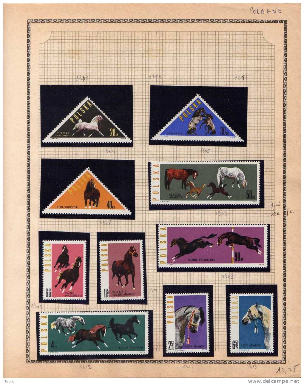 POLOGNE 10 PAGES DE TIMBRES NEUF SANS CHARNIERE ( THEMATIQUE SPORT, CHATS , FLEURS, BATEAUX, POISSONS, OISEAUX, CHEVAUX) - Collections