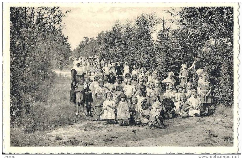 RAVELS - O.L. Vrouw Van De Kempen - Openluchtschool Voor Zwakke Meisjes - Een Dreef In Het 6 Ha Park - Ravels