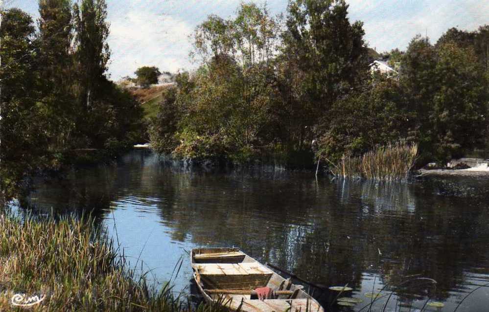 SEICHES SUR LE LOIR LES BORDS DU LOIR A MATHEFLON - Seiches Sur Le Loir