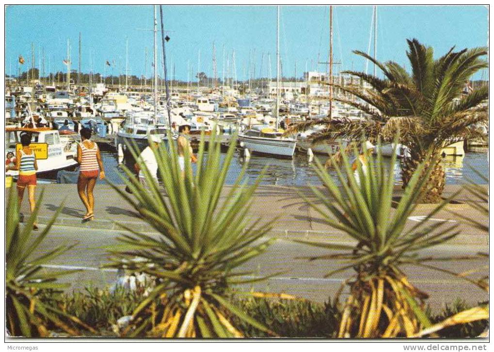 CANET-St-NAZAIRE-en-ROUSSILLON - Le Port - Canet En Roussillon