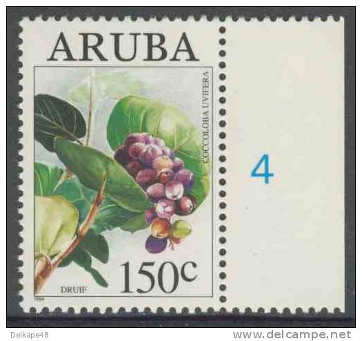 Aruba 1994 Mi 147 Sc 112 ** Coccoloba Uvifera: Seagrape / Seetraube / Stranddruif- Wild Fruits /Einheimische Wildfrüchte - Fruit