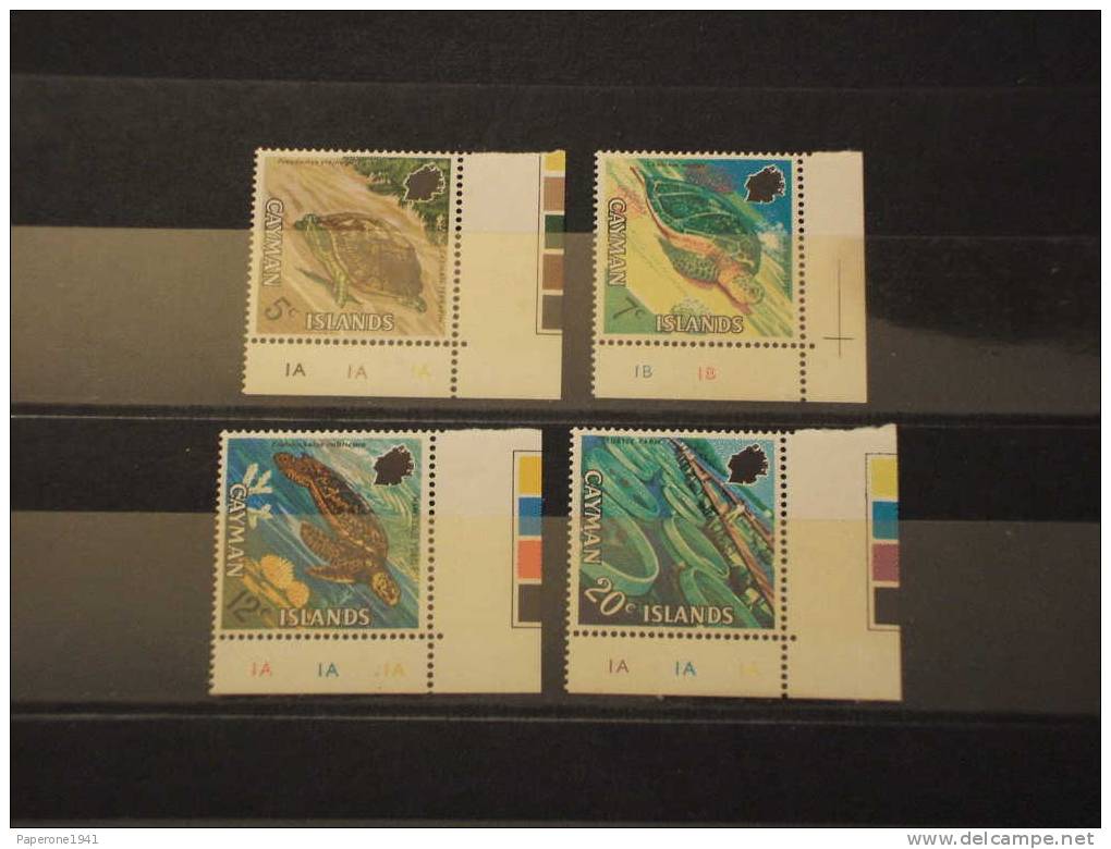 CAYMAN - 1971 TARTARUGHE 4v. - NUOVI(++) - TEMATICHE - Caimán (Islas)