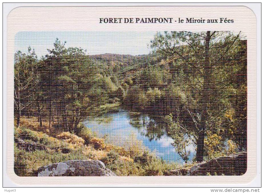 FORET DE PAIMPONT - LE MIROIR AUX FEES - Paimpont