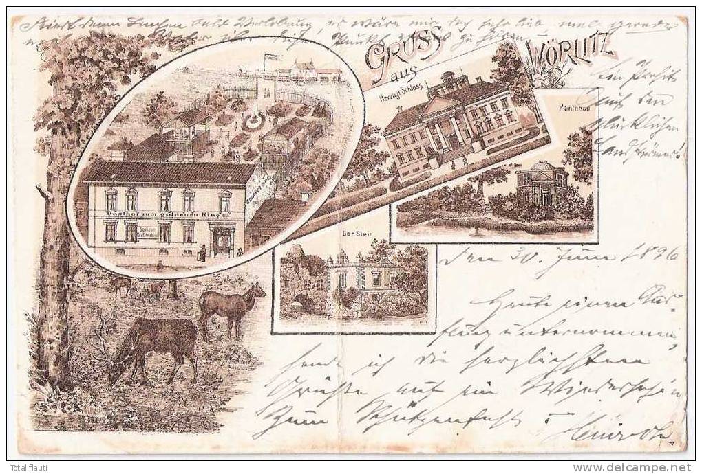 Gruß Aus Wörlitz Dessau Wittenberg Vorläufer Braun Litho Gasthof Zum Goldenen Ring 1.7.1896 Gelaufen - Wörlitz