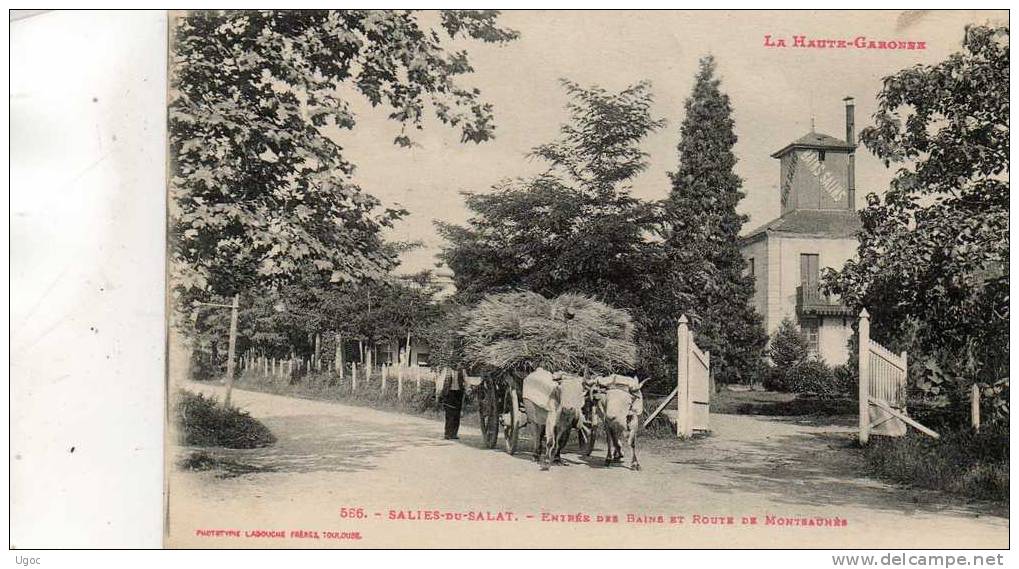 CPA - 31 - SALIES-du-SALAT - Entrée Des Bains Et Route De Montsaunès - 669 - Salies-du-Salat