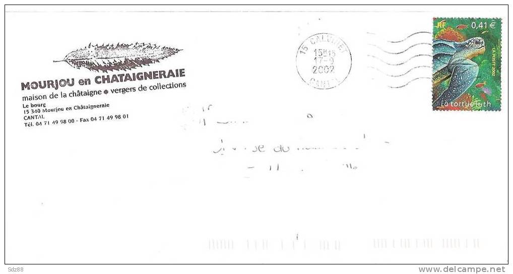 France   YT 3485  Sur Lettre Circulée  De Calvinet  CantalTortue Luth - Tortues