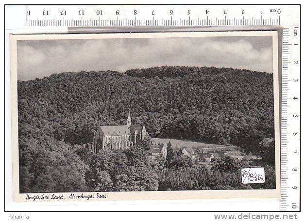 PO1831A# GERMANIA - ALTEMBERGER - Duomo   No VG - Altenbeken