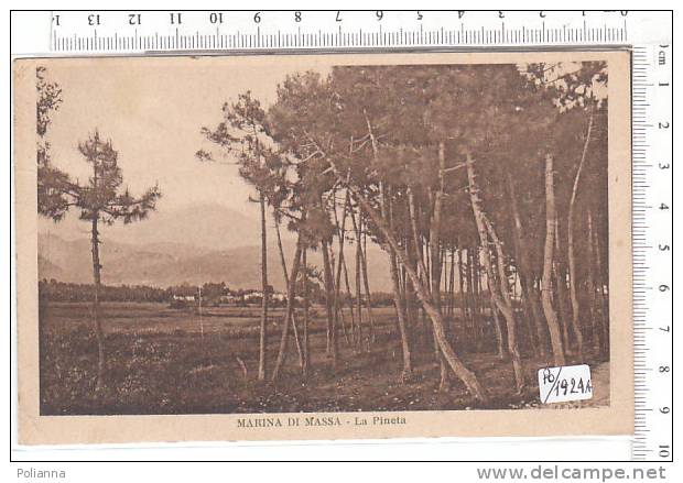 PO1924A# MARINA DI MASSA - La Pineta  VG 1929 - Massa