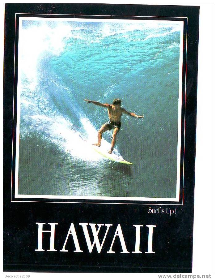 Zs3928 Surfing In Hawai Not Used Perfect Shape - Water-skiing