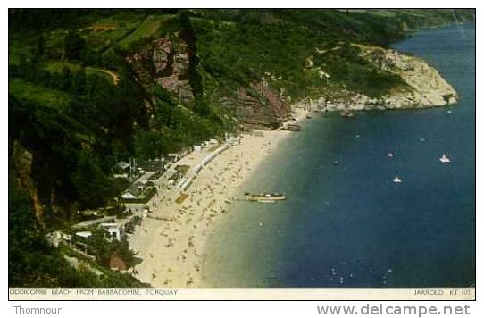 TORQUAY  -  ODDICOMBE BEACH FROM BABBACOMBE - 1951 - - Torquay