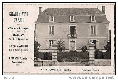 49 La Brinconniere - RABLAY - Grands Vins D Anjou - Autres & Non Classés