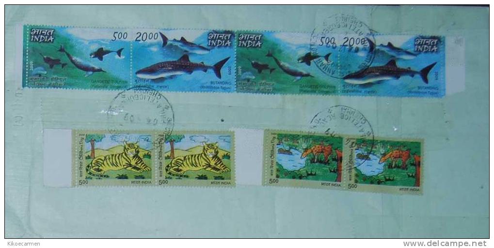 INDIA 2009 FAUNA SHARK DOLPHIN Animal TIGER Tigre Giraffa Kids Painting Child Children Complete Cover - Cartas & Documentos