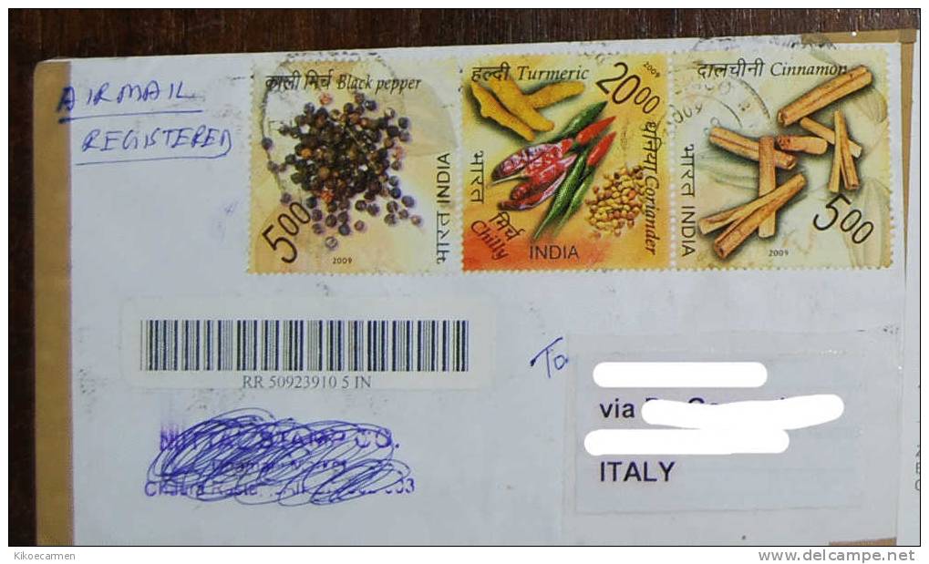 INDIA 2009 PEPPER CINNAMON CORIANDER CHILLY TURMERIC Food Feeding Registred Letter Complete Cover - Lettres & Documents