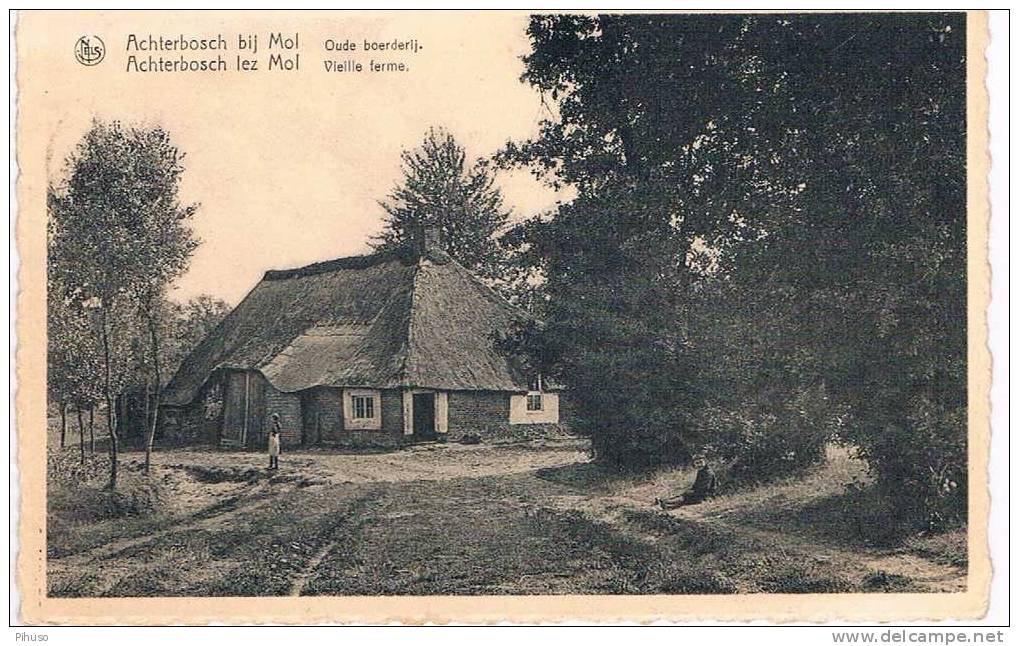 B3161 :   ACHTERBOSCH Bij MOL : Oude Boerderij - Mol