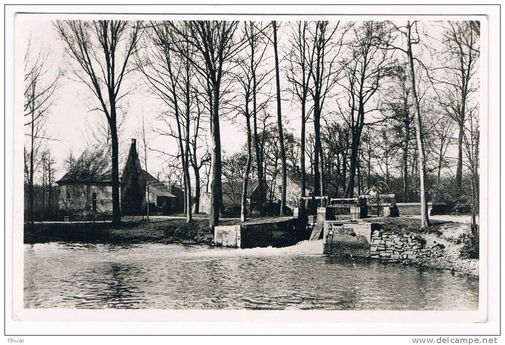 B3165 :   GROBBENDONK : De Watermolen En Omgeving - Grobbendonk