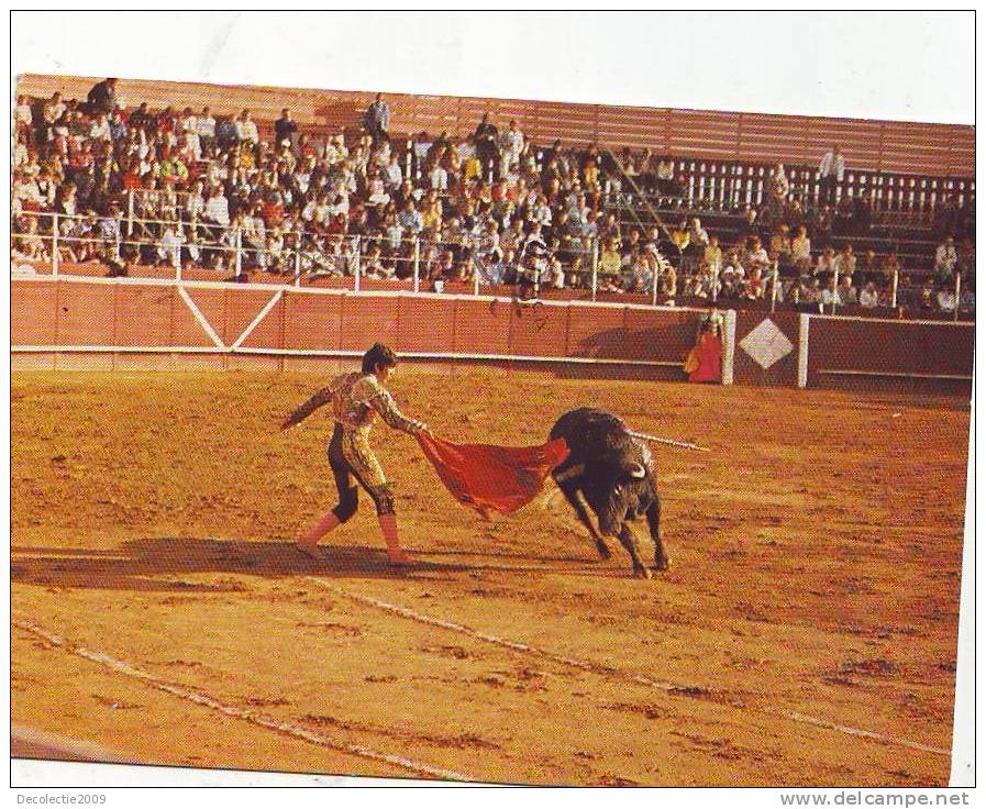 Zs3951 Animals Animaux Corrida De Toros Bullfight  Used Perfect Shape - Taureaux