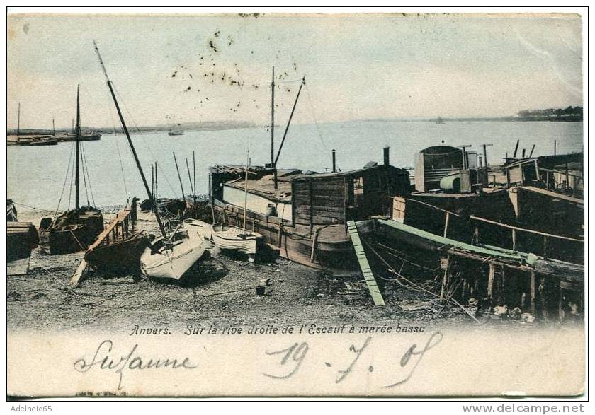 Antwerpen Anvers Sur La Rive Droite à Marée Basse Rechteroever Bij Eb 1909 - Antwerpen